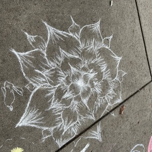 Fundraising Page: Vivian de Toledo Krainer